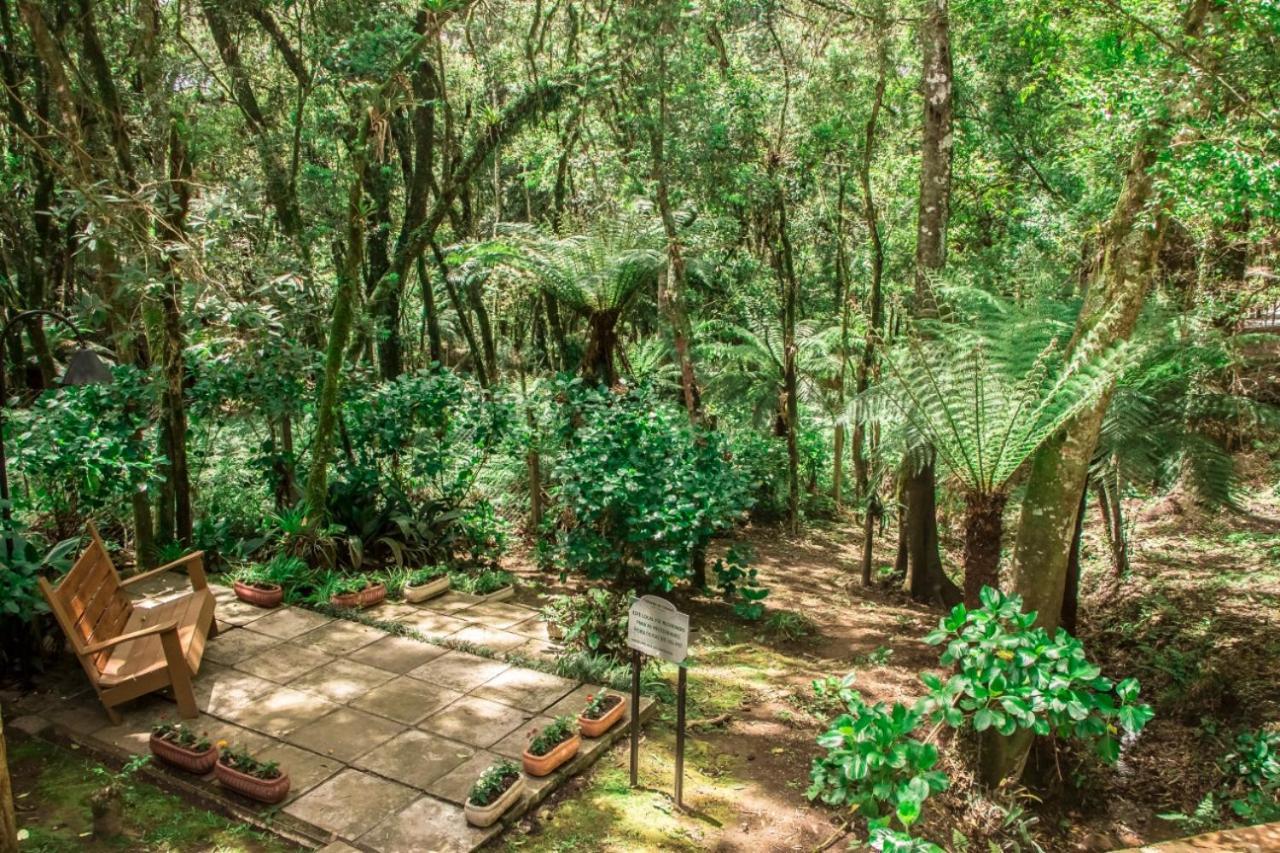 Hotel Pousada Cozumel Sierra Canela Zewnętrze zdjęcie